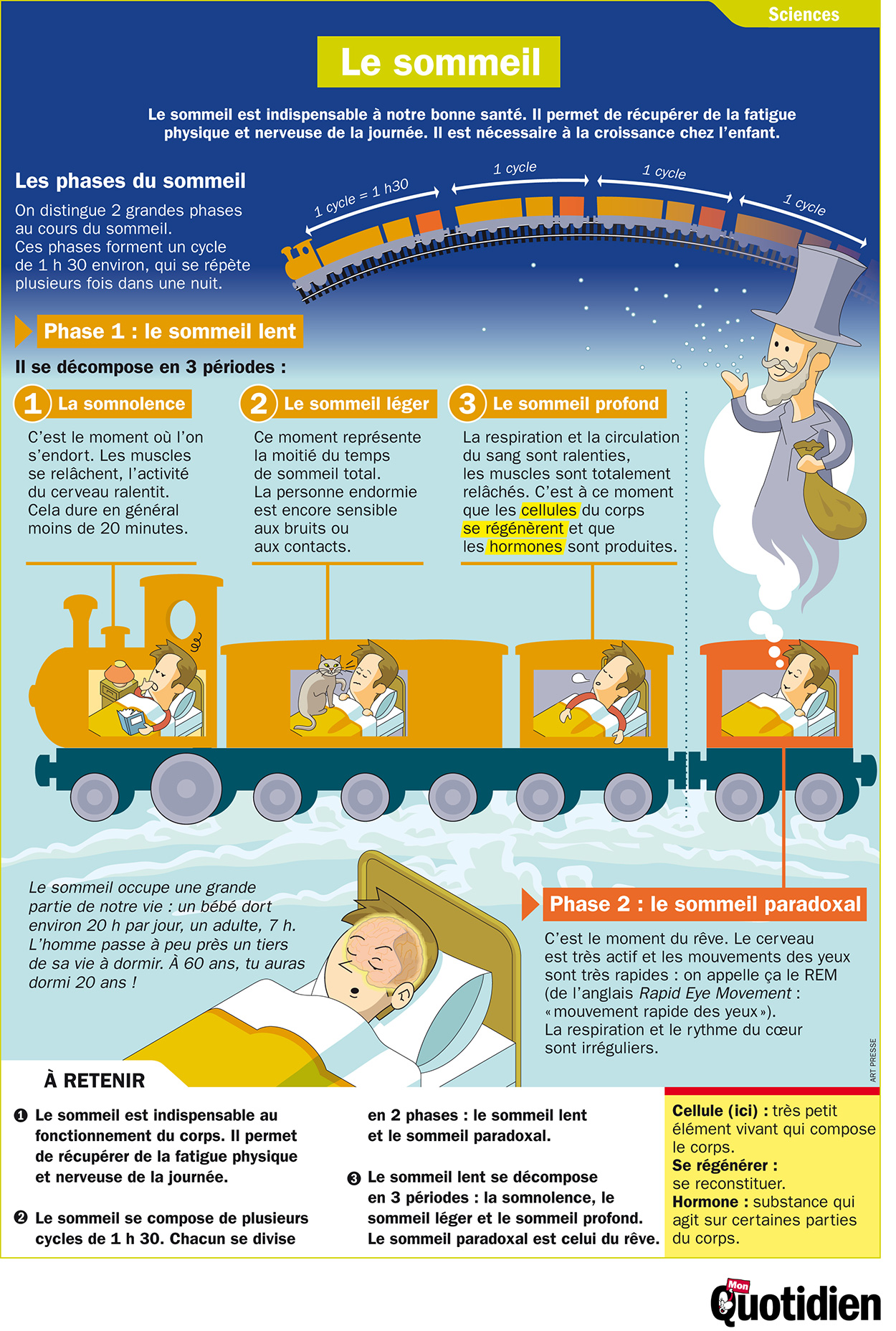  Infographie Mon Quotidien : Le sommeil