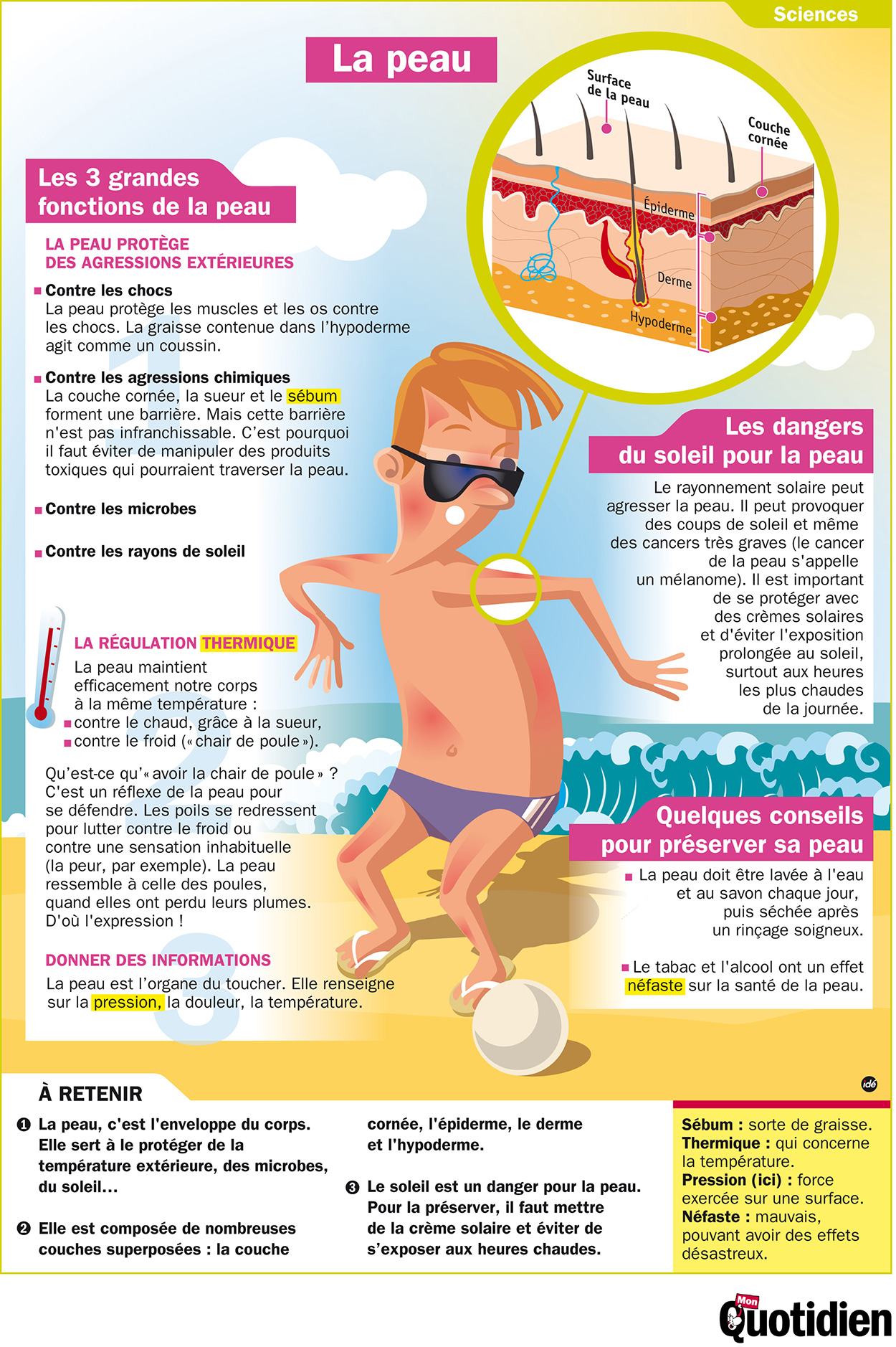 Infographie Mon Quotidien : La peau