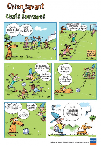 Chien savant et chats sauvages