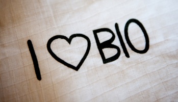 Des maisons trop propres ?