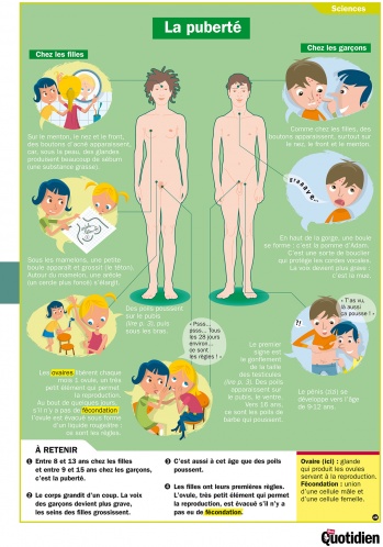La puberté