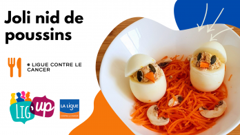 Le joli nid de poussins