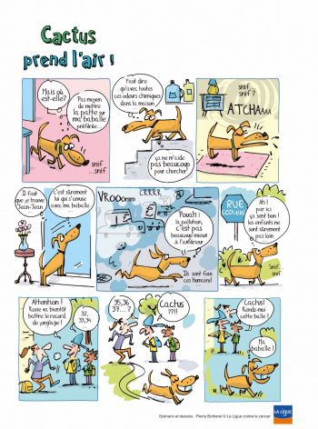 Cactus prend l'air!