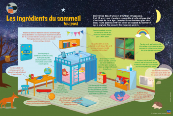 Les ingrédients du sommeil (ou pas)