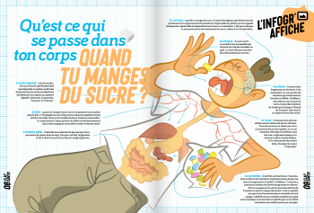 Qu'est ce qui se passe dans ton corps quand tu manges du sucre ?